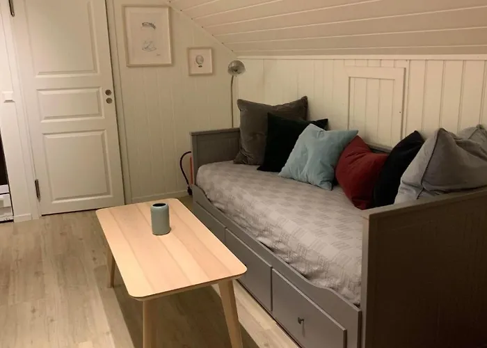 Bright And Cozy Apartment 1.5Km From City Centre